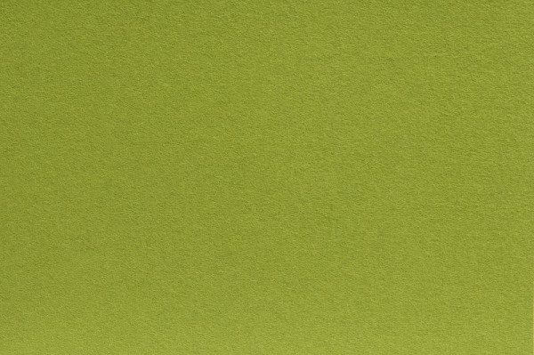Hammerbacher 4 plstěné polštáře na bistro lavici, zelená, látka: 100% čistá nová vlna, VMBPO/H