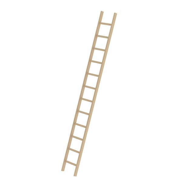 Munk Günzburger Steigtechnik enkele sport ladder van hout zonder traverse 12 sporten, 033112