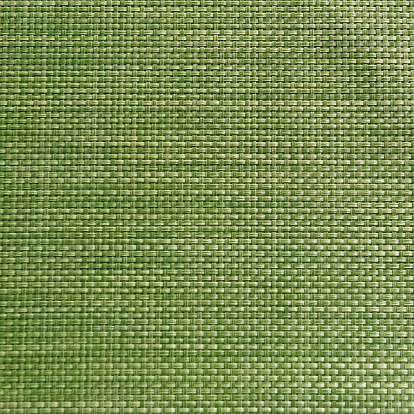 Jogo americano APS - verde maçã, 45 x 33 cm, PVC, faixa estreita, embalagem de 6, 60521
