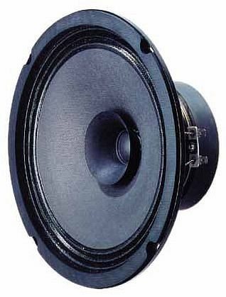 Visaton breedband speaker met tweeter conus BG 20 - 8 ohm, 3020