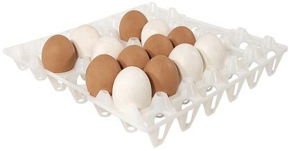 Contacto tray voor 30 eieren, wit, 8034/030