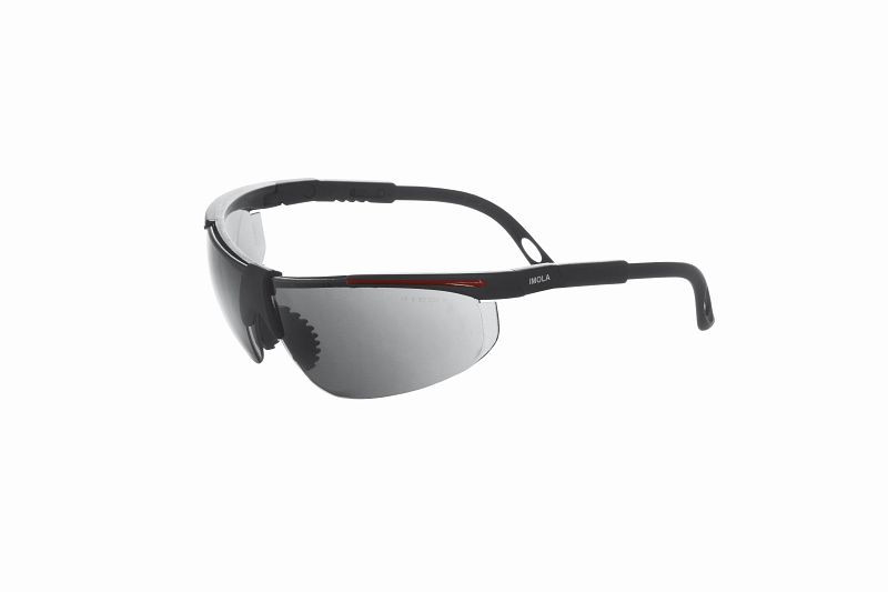 AEROTEC sikkerhedsbriller IMOLA / Anti Fog - UV 400 - grå, 2012009